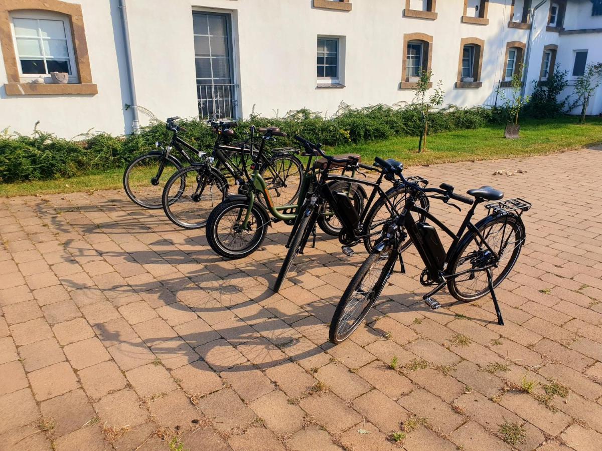 Grosse Bauernhaus Ferienwohnungen Bis 100Qm Mit E-Bike-Verleih Bad Rothenfelde Exteriör bild